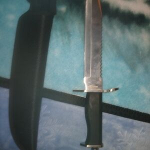 Stainless Steel Hunting Knife with Black Handle